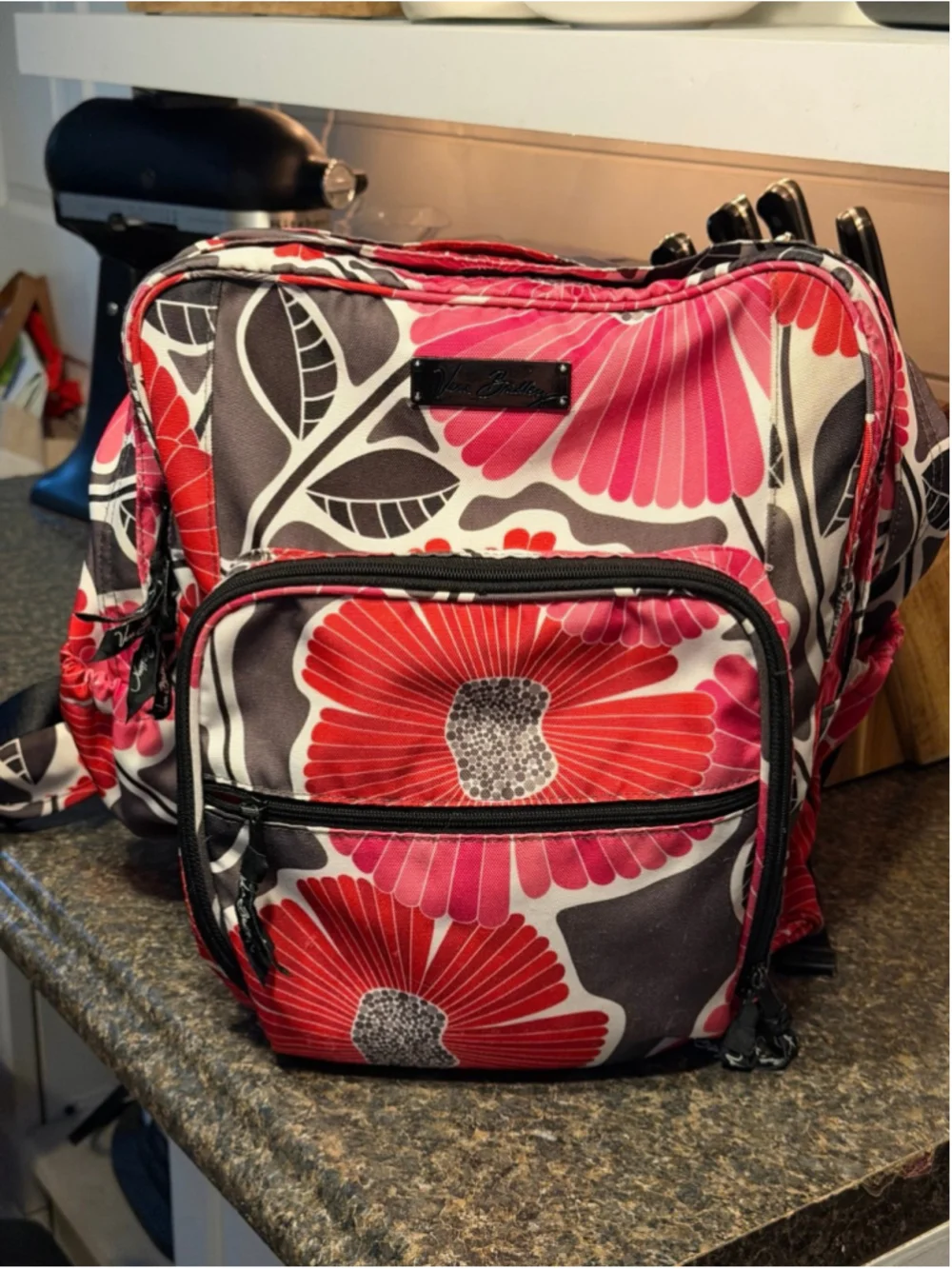 Vera Bradley Retired Cheery Blossoms Backpack